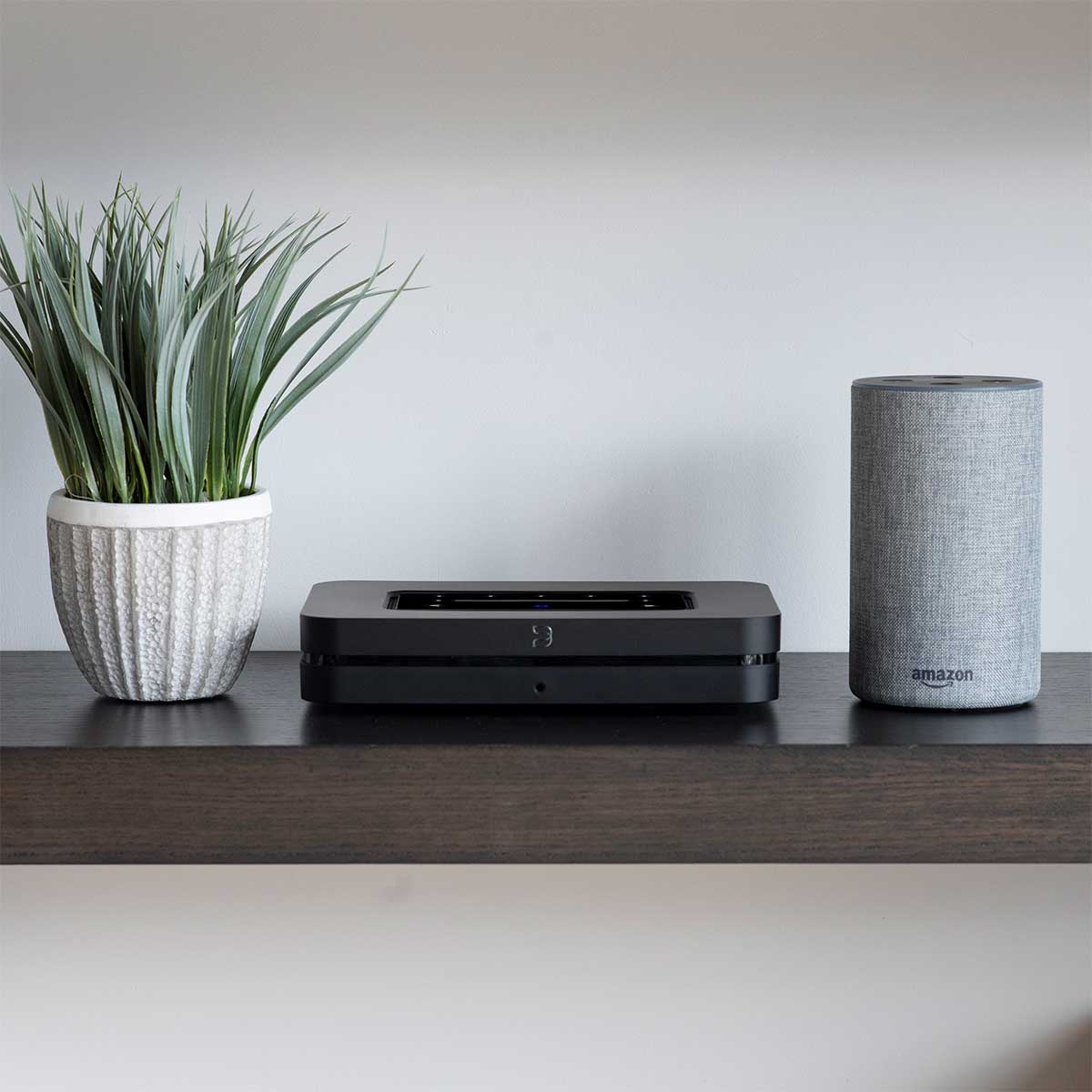 Bluesound Node N130 Wireless Multi-Room Hi-Res Music Streamer - Image 6