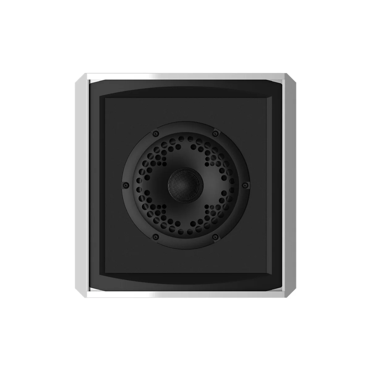 Coastal Source RZ110 2-Way Razor Speaker - Each - Image 6
