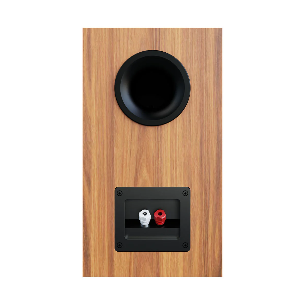 ELAC Debut 3.0 DB53 5.25" Bookshelf Speakers - Pair - Image 8