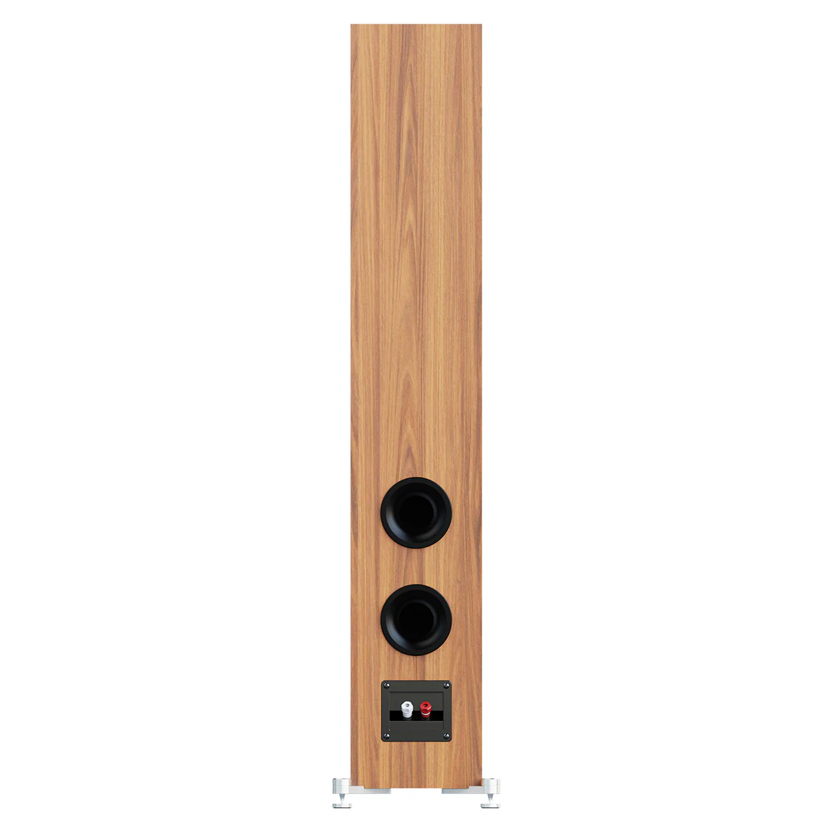 ELAC DEBUT 3.0 - 5.25" Floor Speaker - Black - Each - Image 8