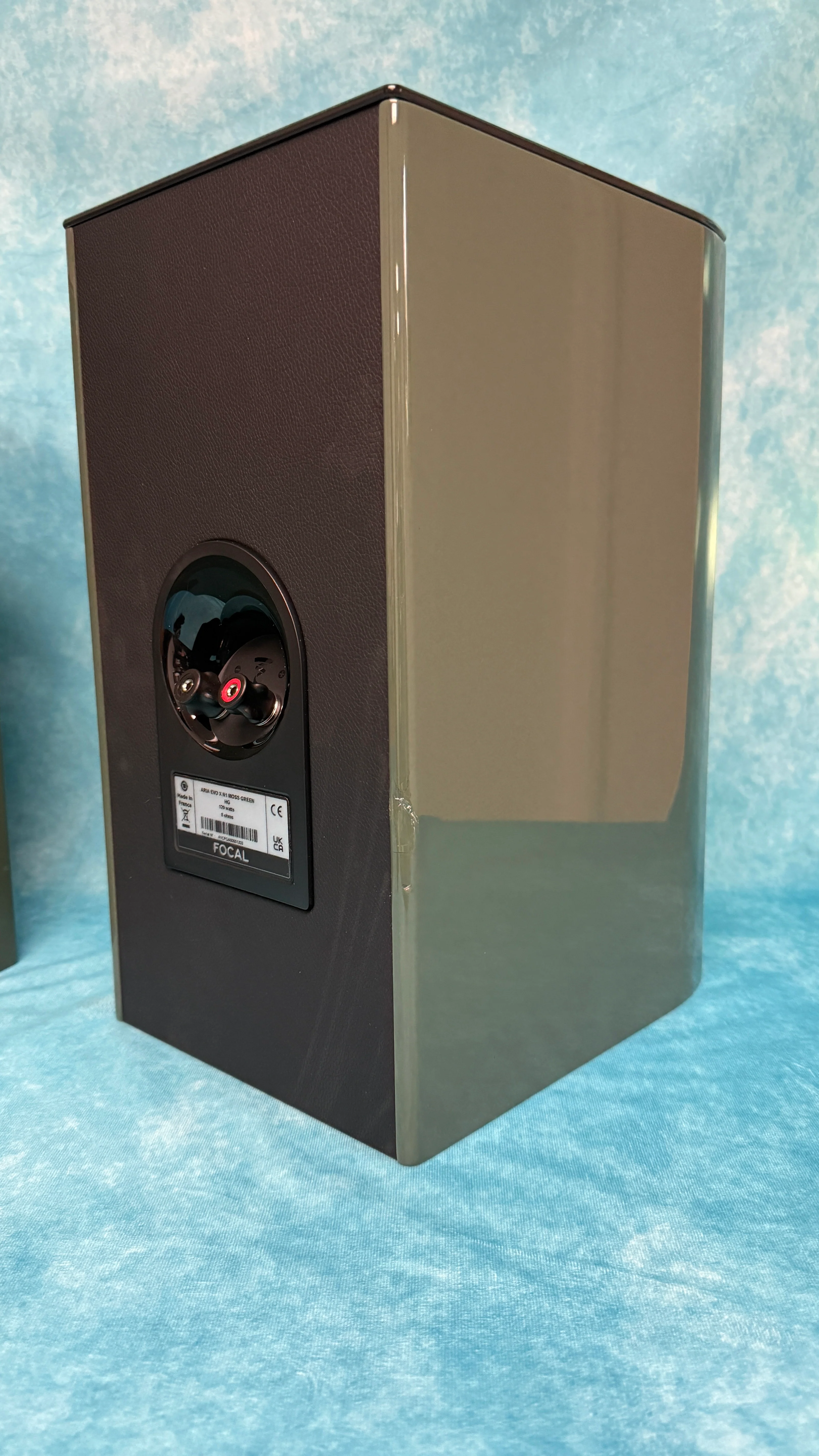 Focal OPEN BOX Aria Evo X No1 Bookshelf Loudspeaker - Moss Green High Gloss - Pair - C Grade - Image 10