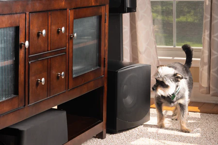 GoldenEar ForceField 40 Compact Subwoofer - Black - Image 14