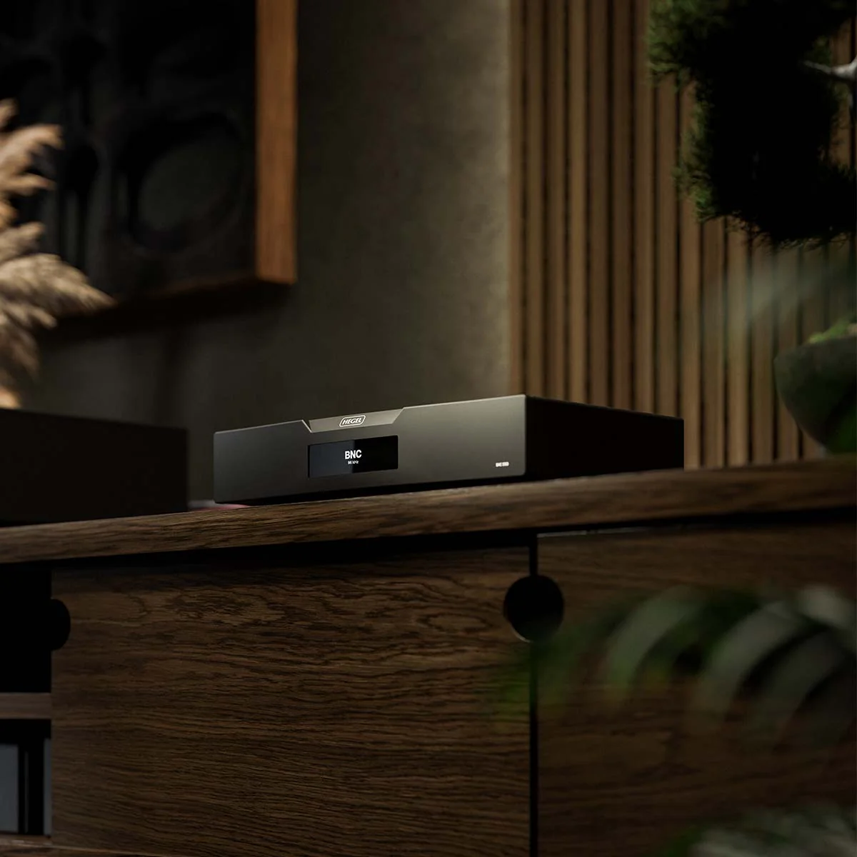 Hegel D50 The Raven Reference DAC - Image 7