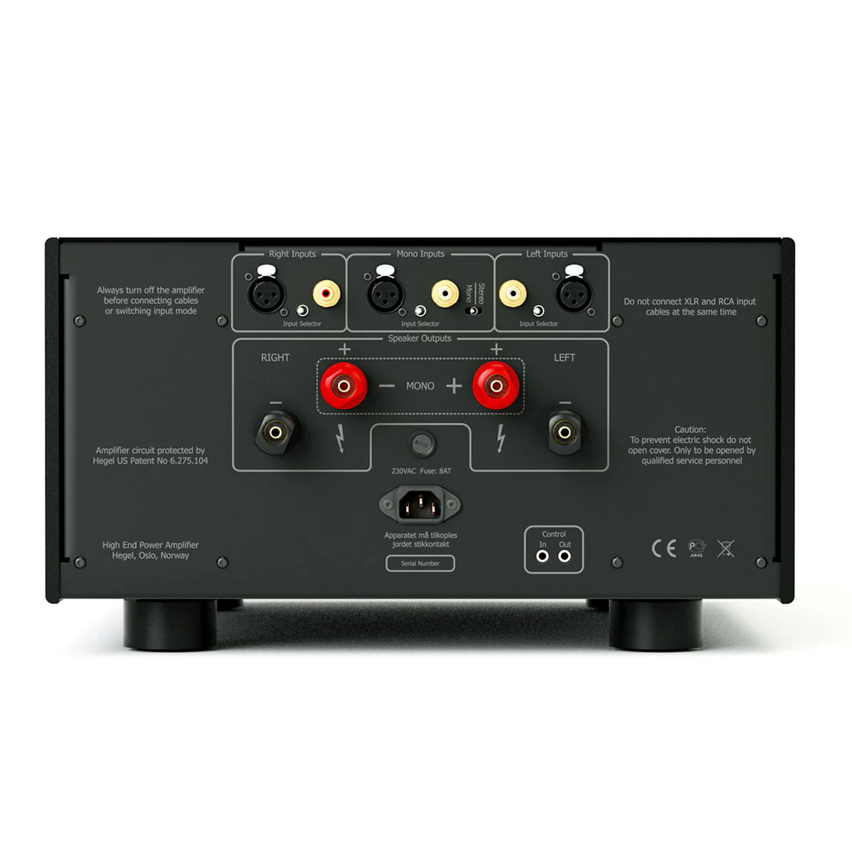 Hegel H30A 1-Channel Power Amplifier - Image 3