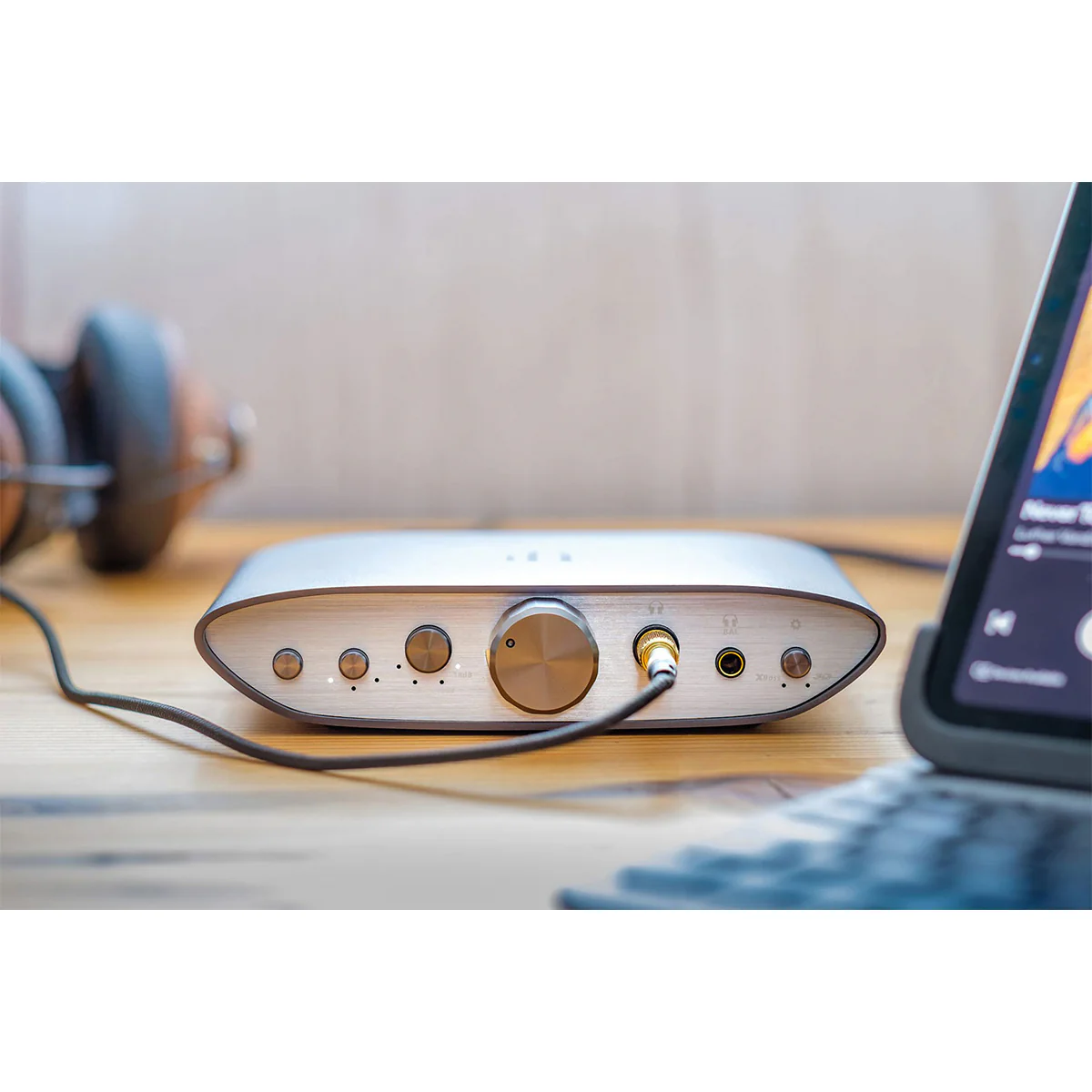 iFi Audio Zen CAN Desktop Headphone Amplifier - Image 6