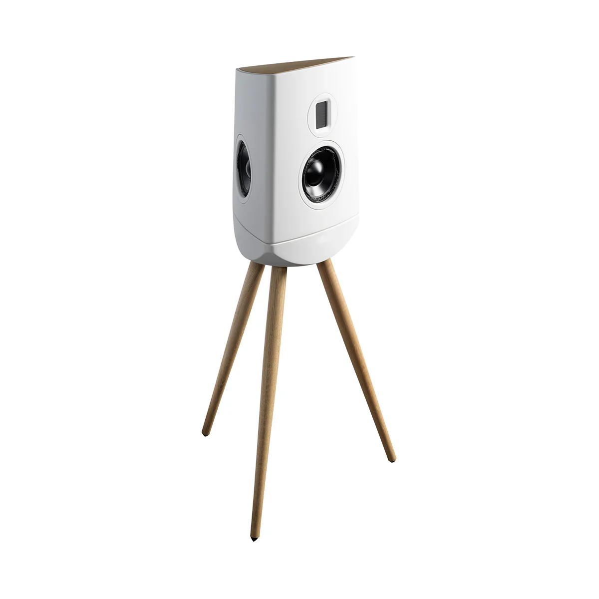 Lyngdorf Cue-100 Speaker - Image 16