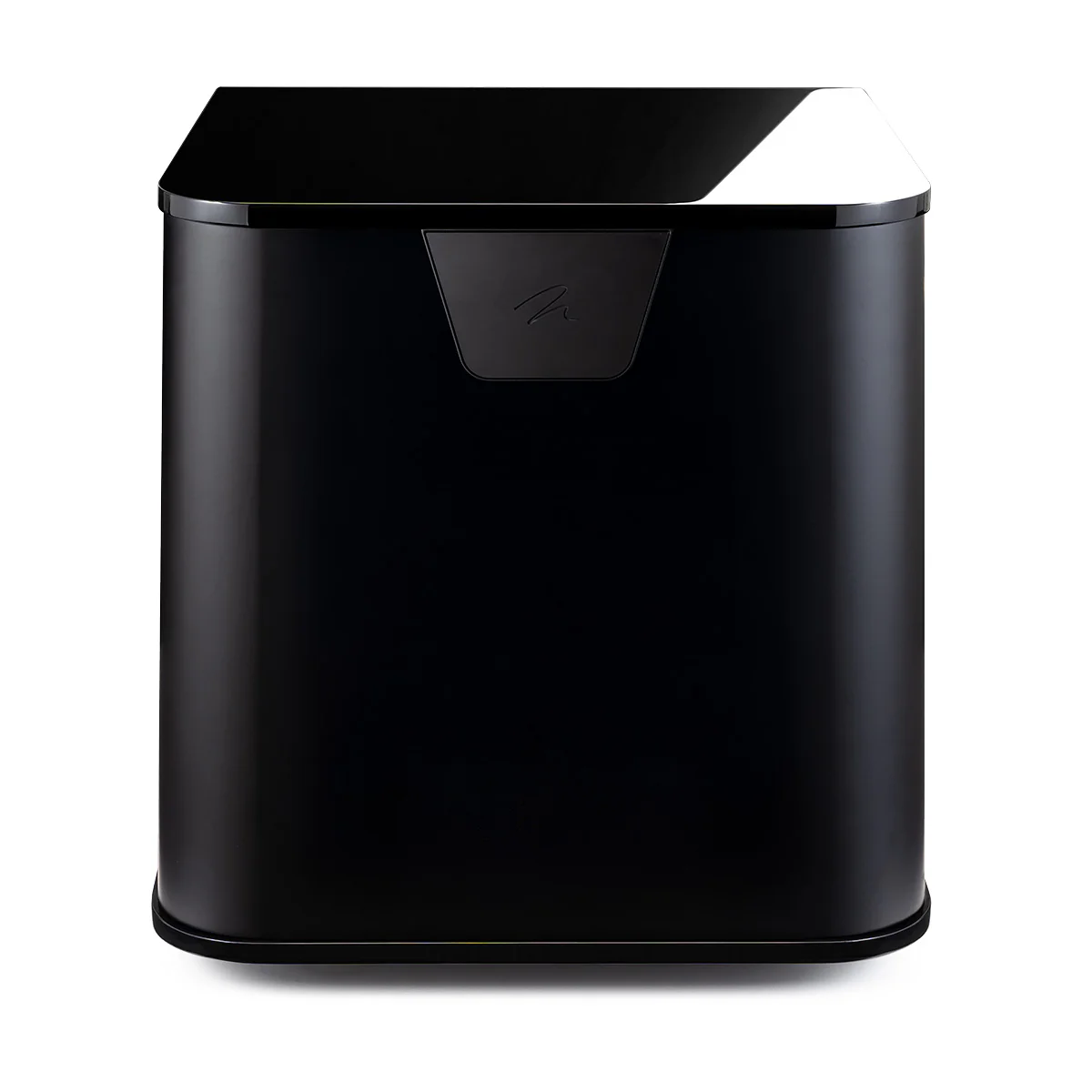 MartinLogan Depth 212 Subwoofer - Image 12