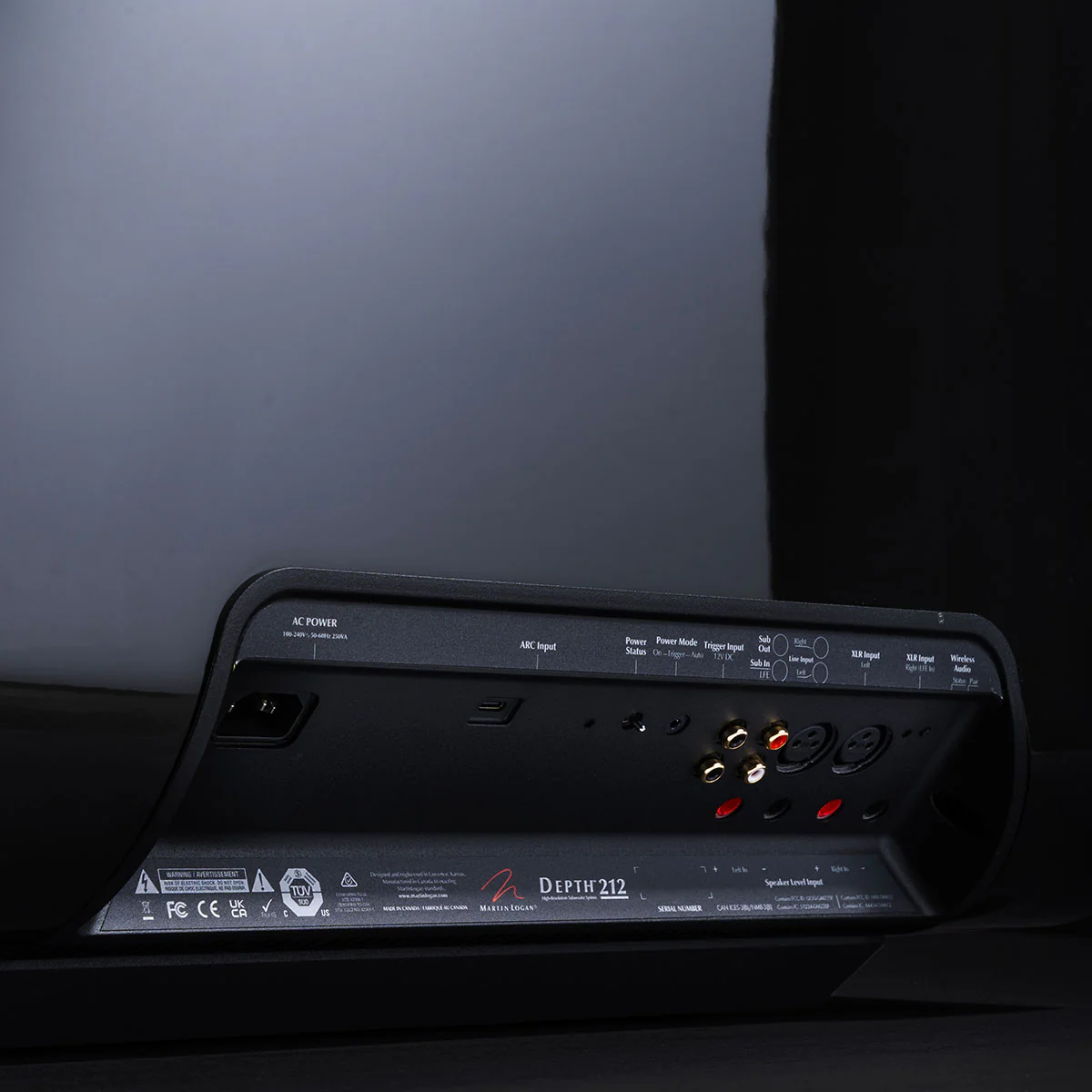MartinLogan Depth 212 Subwoofer - Image 18