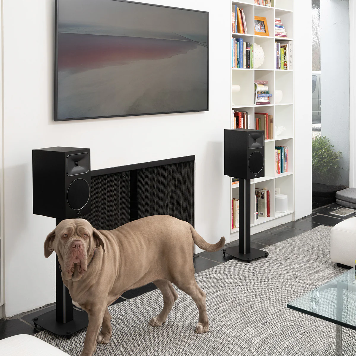 MartinLogan Foundation B2 Bookshelf Speaker - Each - Image 37