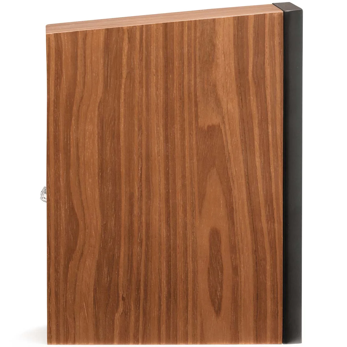 MartinLogan Motion B10 Bookshelf Speaker - Image 49