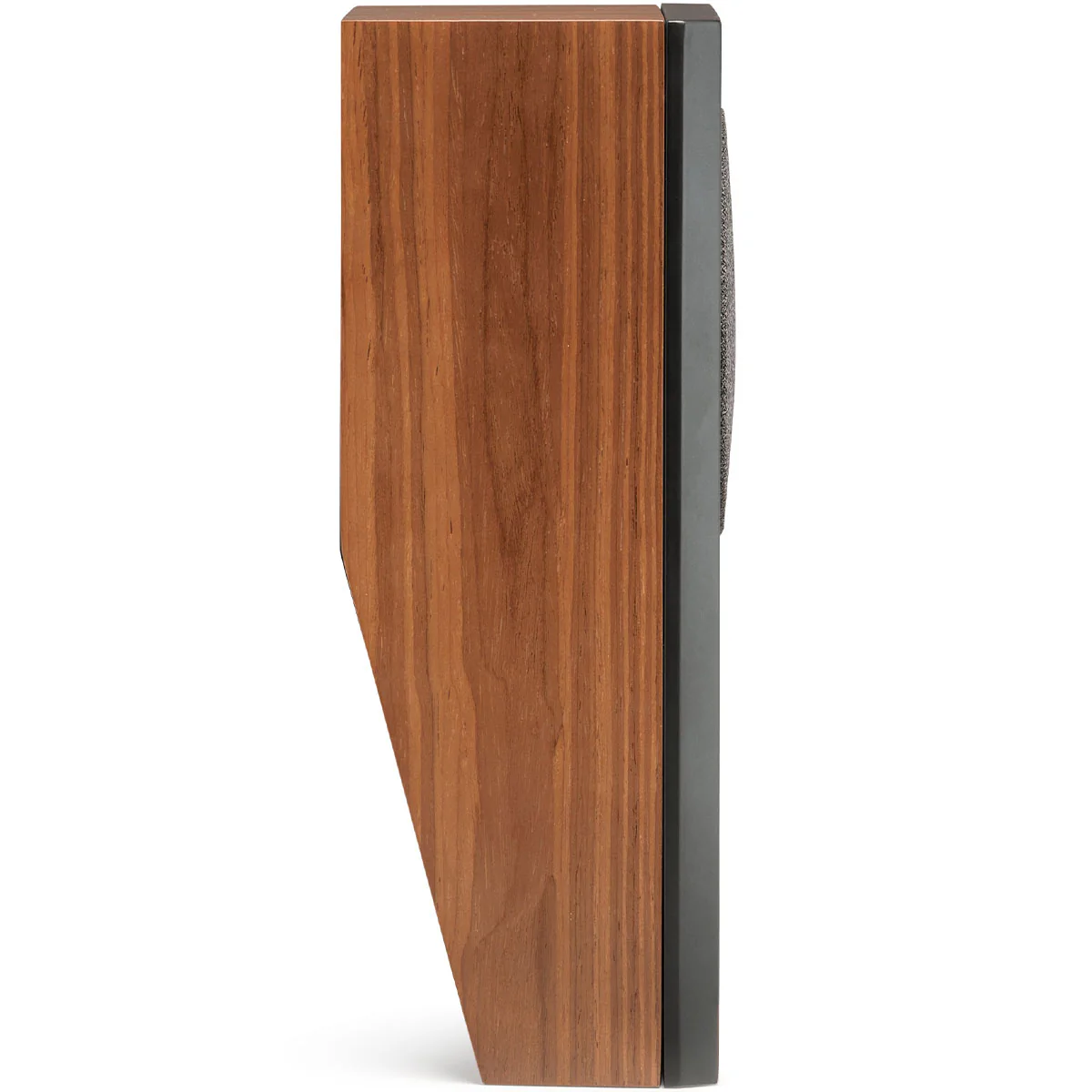 MartinLogan Motion MP10 Multi-Purpose Speaker - Image 23