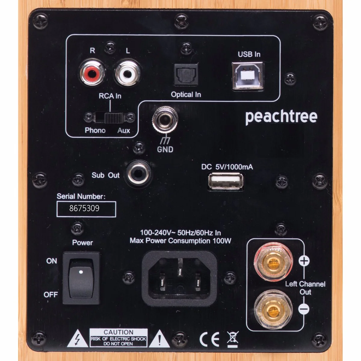Peachtree M24 Wireless Speakers - Pair - Image 14