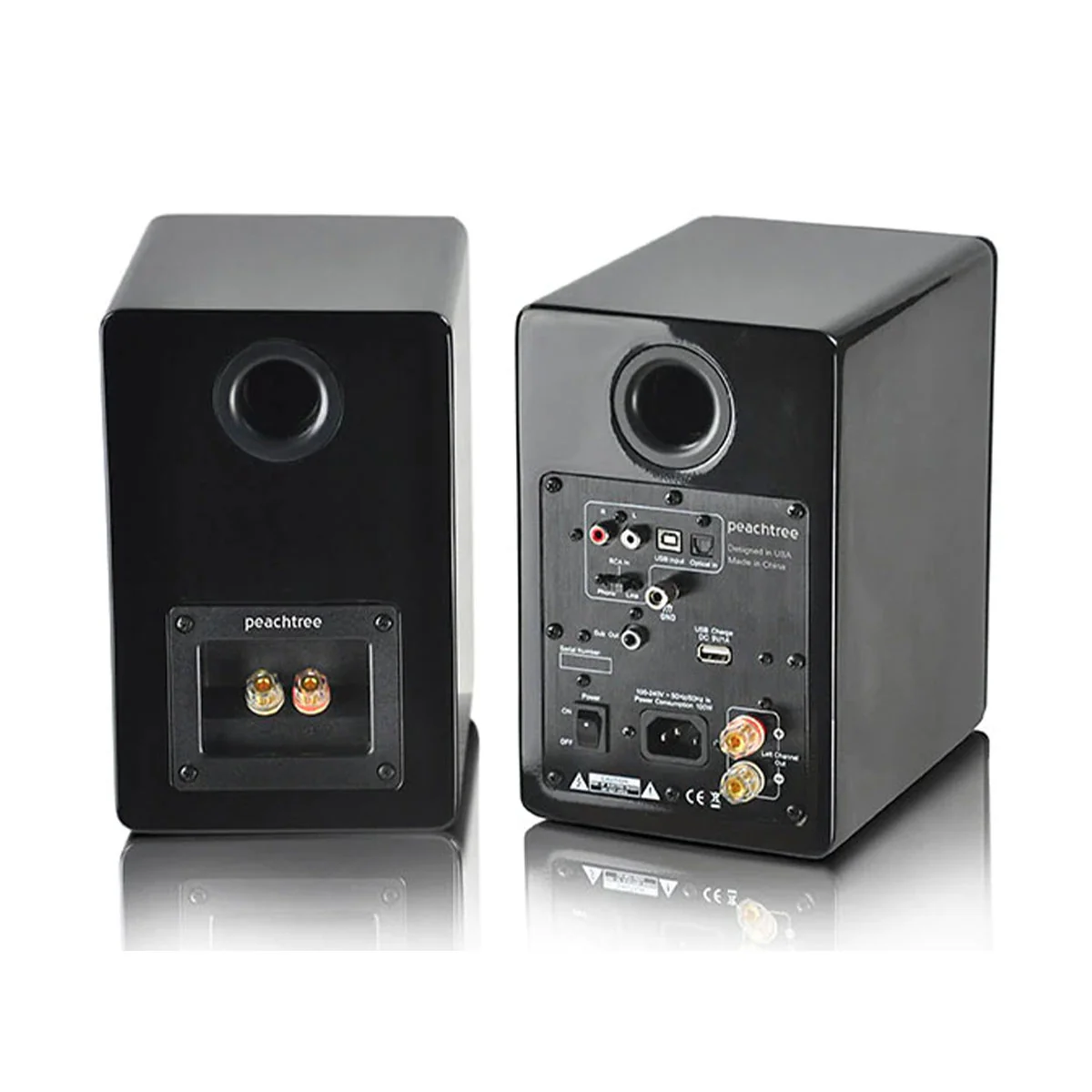 Peachtree Audio M24X Powered Speakers - Pair - Image 3