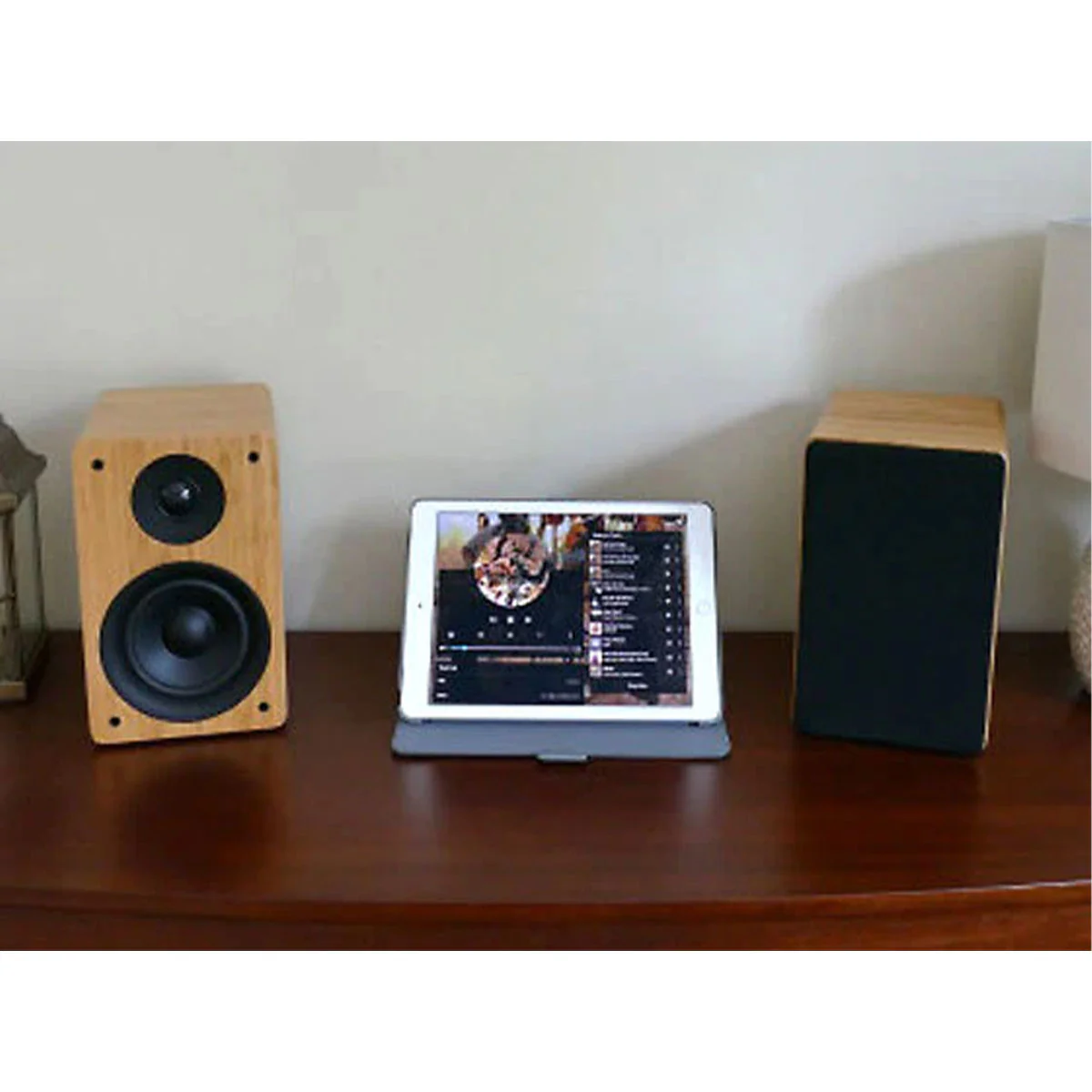 Peachtree Audio M24X Powered Speakers - Pair - Image 6