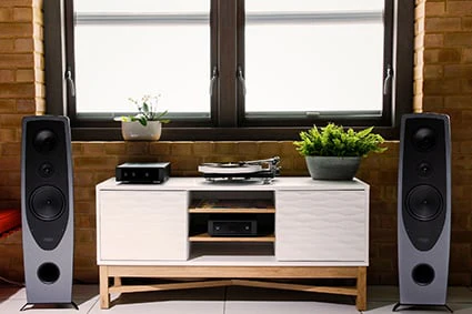 Rega Aya Floorstanding Loudspeakers - Steel and Dark Grey - Pair - Image 5