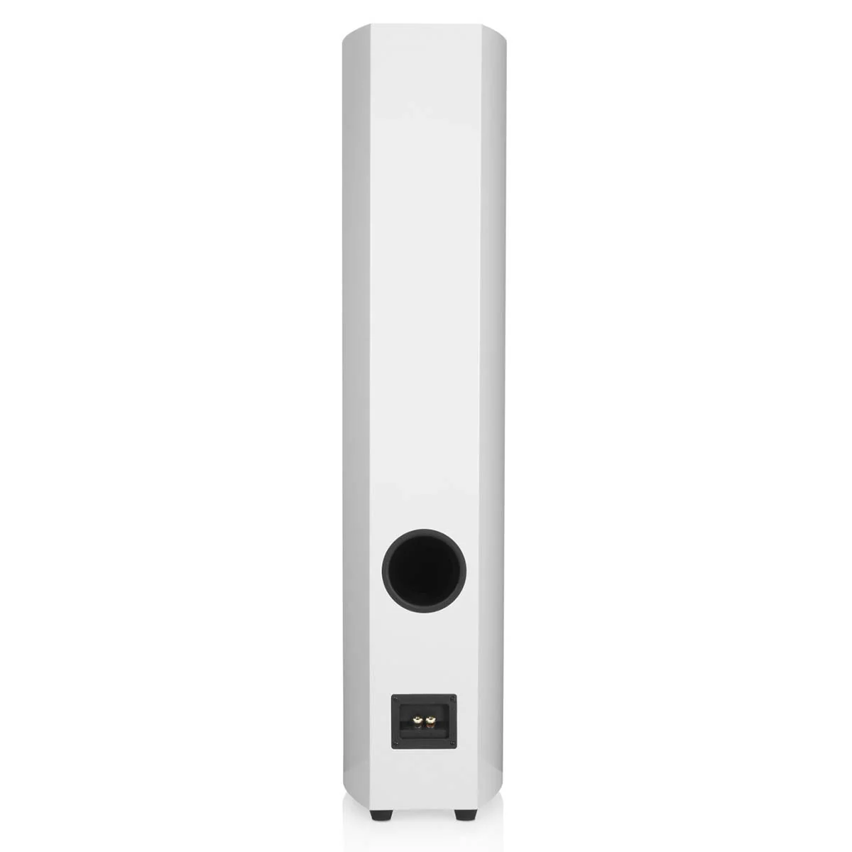 Revel F36 Floorstanding Speaker - Image 12