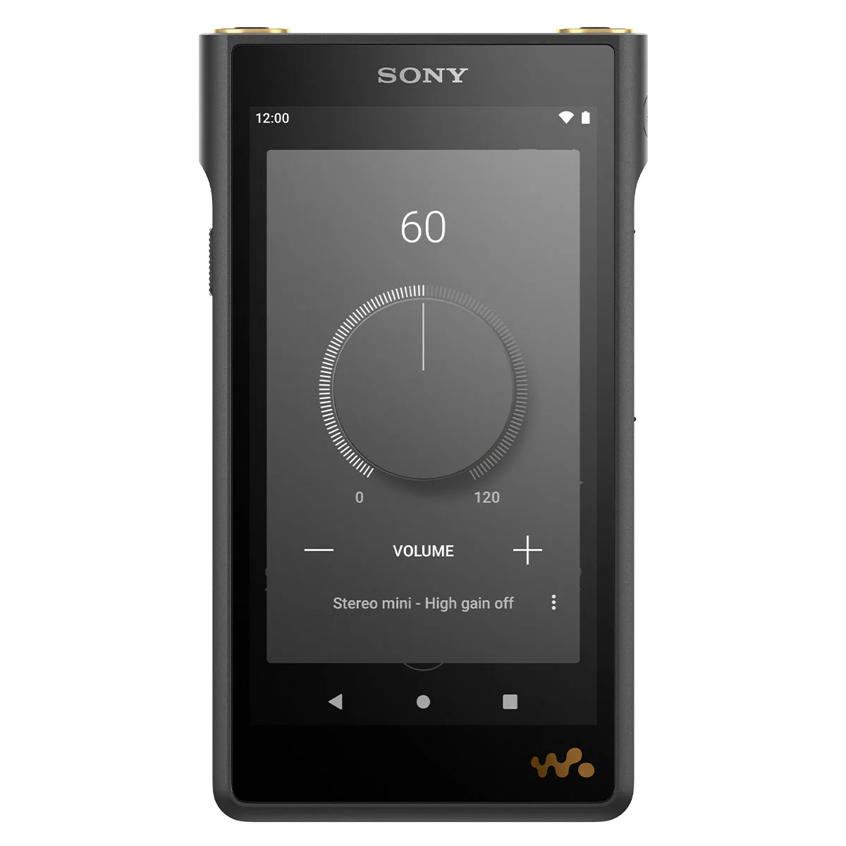 Sony NWWM1AM2 WM1AM2 Walkman Digital Music Player - Image 11