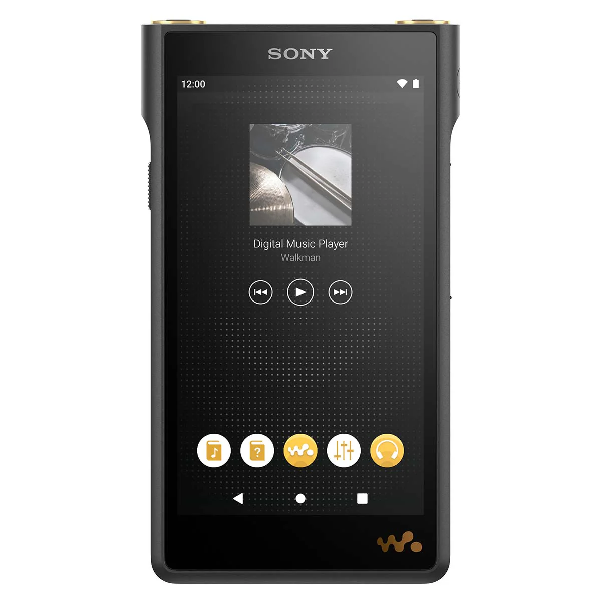 Sony NWWM1AM2 WM1AM2 Walkman Digital Music Player - Image 12