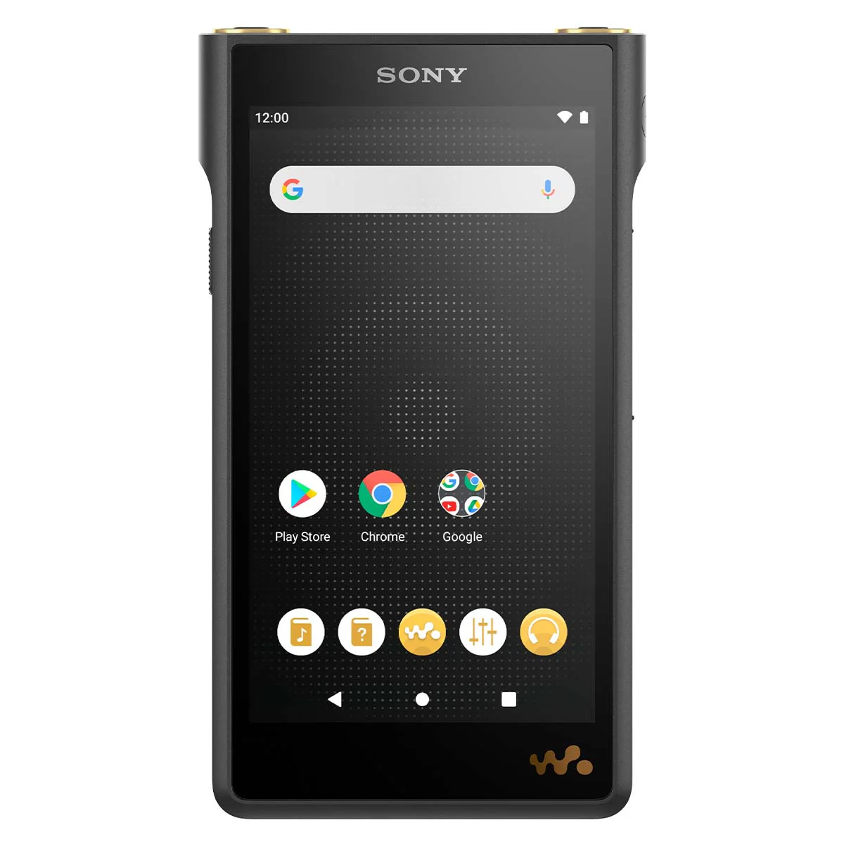 Sony NWWM1AM2 WM1AM2 Walkman Digital Music Player - Image 13