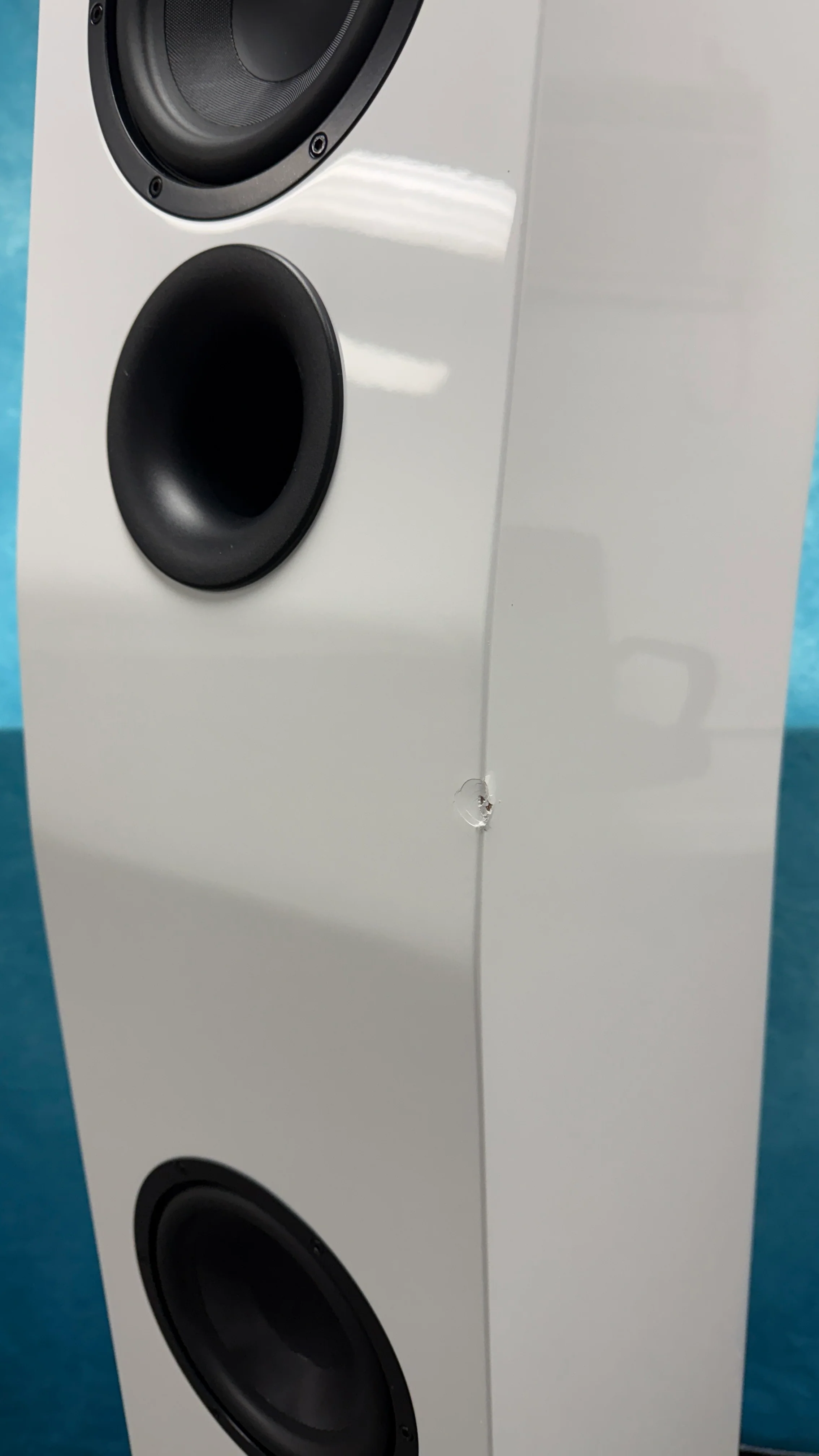 SVS OPEN BOX Ultra Evolution Titan Floorstanding Loudspeaker - White Gloss - Each - B Grade - Image 4