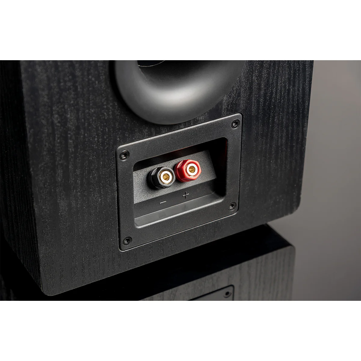SVS Prime Pinnacle Speaker - Image 8
