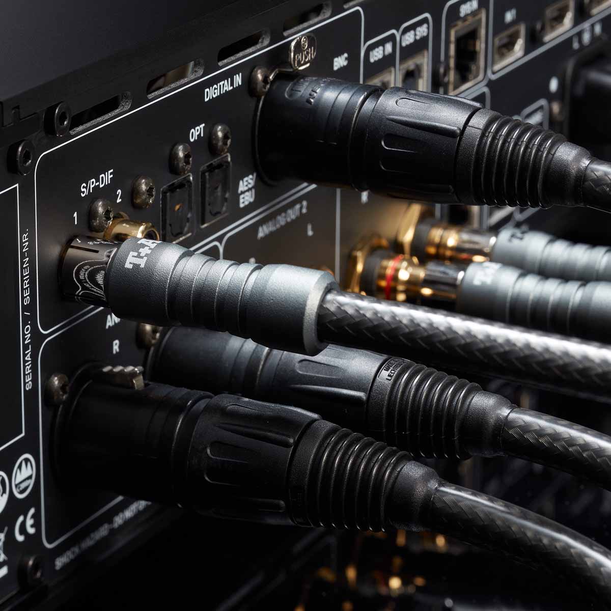 T+A DAC 200 D/A Converter / Pre-Amplifier - Image 4