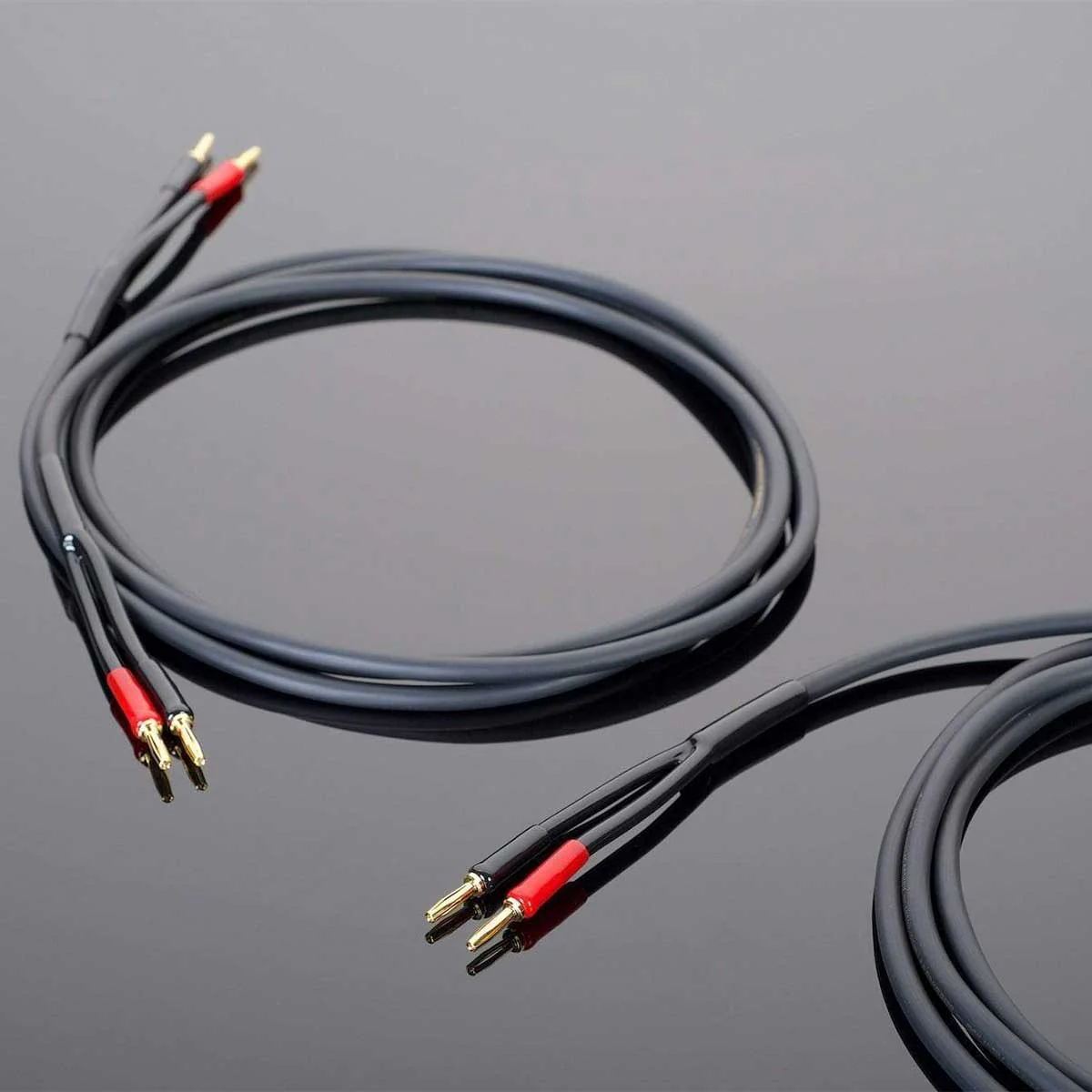 Transparent Hardwired Speaker Cable - Image 8