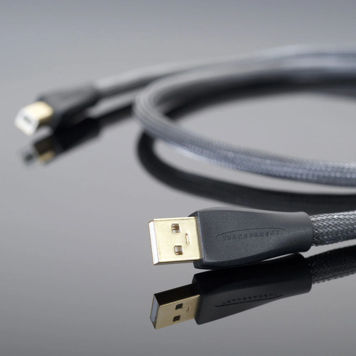 Transparent Transparent USB Cable - Image 4
