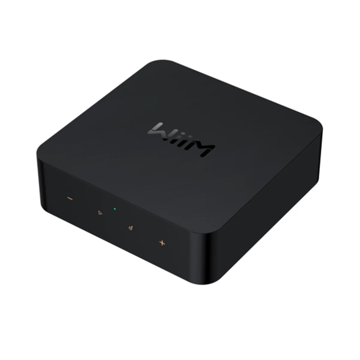 WiiM PRO Pro Wireless Audio Streamer - Image 3