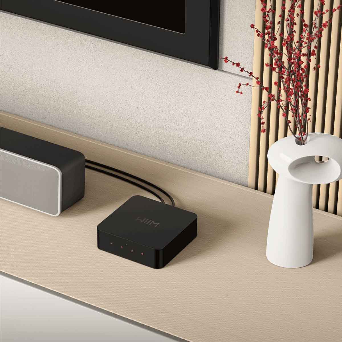 WiiM PRO Pro Wireless Audio Streamer - Image 5